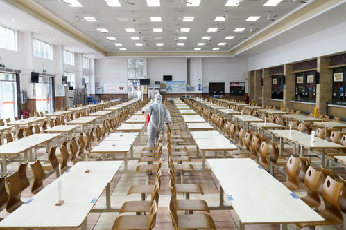 餐餐添香，楠傲承包——佛山三水工廠員工食堂的食材鮮味與品質承諾
